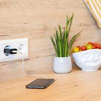 Ansmann HomeCharger HC105 USB-oplader 5 W 1x USB-A Zwart Binnen - thumbnail