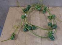 Kerstgroen sliert met groene vruchten tak decoratie Warentuin Natuurlijk - Warentuin natuurlijk - thumbnail