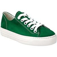 Paul Green 4704 - alle - thumbnail