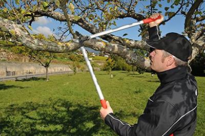 Felco Takkenschaar 231 - Meuwissen agro