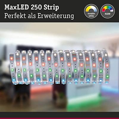 Paulmann MaxLED Stripe RGB 79867 LED-strip Met connector (male) 24 V 5 m Warmwit 1 stuk(s)