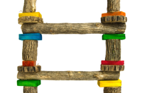 Birrdeeez Budgie Ladder 7 Step All Wood - thumbnail