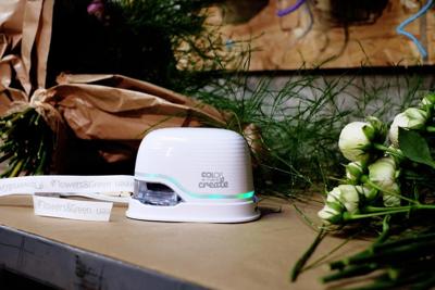 Lint Colop E-mark 15mmx25m wit