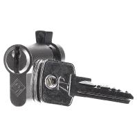 Busch-Jaeger 2CKA000470A0013 Profielhalfcilinder - thumbnail