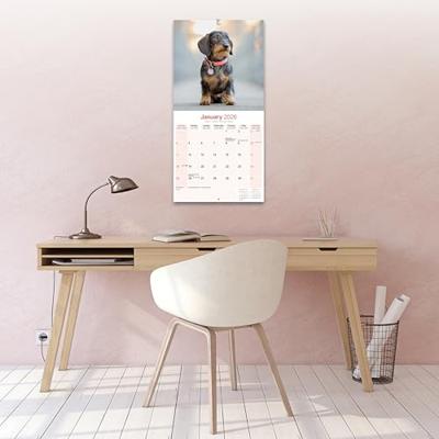 Teckel Ruwhaar Kalender 2026