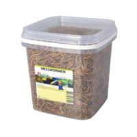 Meelwormen 2,5 liter voer Suren Collection - Suren collection - thumbnail