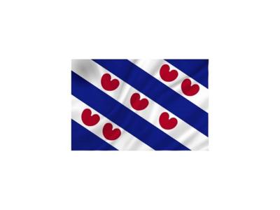 Dokkumer Vlaggen Centrale Vlag friesland 50x75 cm spun-poly