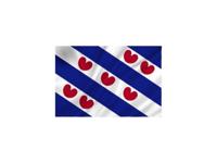 Dokkumer Vlaggen Centrale Vlag friesland 50x75 cm spun-poly - thumbnail