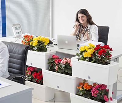 Bama Brick Koppelbare Plantenbakken 75L 59x23x27 cm 5 Stuks Wit