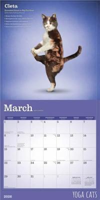 Yoga Cats Kalender 2026
