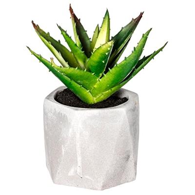 Decoratieve plant Atmosphera 7 x 14 cm Groen PVC
