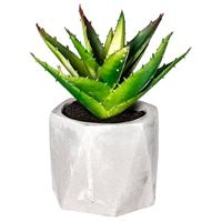 Decoratieve plant Atmosphera 7 x 14 cm Groen PVC - thumbnail