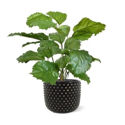 Tetrastigma kunstplant 40cm