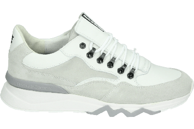 Floris van Bommel DE ZAGER 01.05 - alle