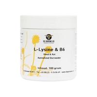 DE GROENE OS L-LYSINE / B6 HOND / KAT 100 GR - thumbnail