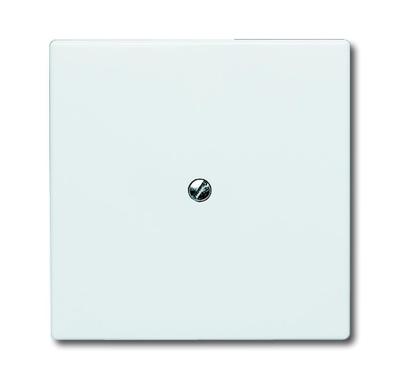 ABB 2138-34 Blindafdekking Afdekking Wit, Zuiver wit (RAL 9010) 1 stuk(s)