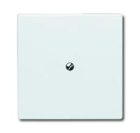 ABB 2138-34 Blindafdekking Afdekking Wit, Zuiver wit (RAL 9010) 1 stuk(s) - thumbnail