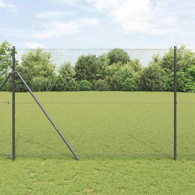 Gelaste draadhek Grijs 1.6 x 25 m Staal