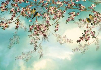 Komar Home; Komar Colours Fotobehang Sakura - 8-213