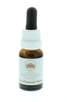 Australian Bush Little flannel flower 15 Milliliter Australian Bush Little flannel flower 15 Milliliter