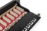 Digitus DN-91612S-EA 12 poorten Netwerkpatchpaneel 254 mm (10) CAT 6A 1 HE Meerdere kleuren Ingericht - thumbnail