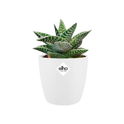 Elho Brussels Mini bloempot rond 10,5 cm wit - thumbnail