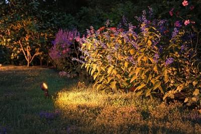Paulmann P+S Spot Set Sting 2200K 94729 Verlichtingssysteem Plug&Shine LED-tuinspot startset LED 18.9 W Goud Antraciet