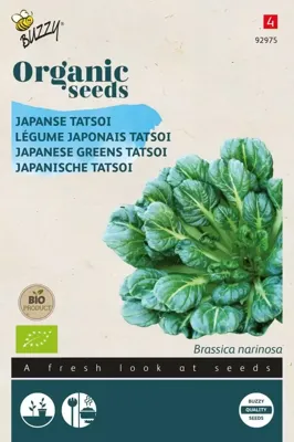 Organic Tatsoi (Bio) zaden Buzzy - Buzzy