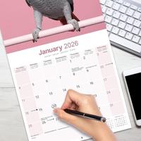 Grijze Roodstaart Kalender 2026 - thumbnail