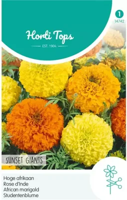 Zaden Tagetes hoge Afrikaan Sunset Giants gemengd Hortitops - Hortitops