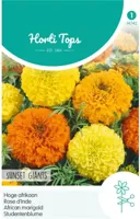 Zaden Tagetes hoge Afrikaan Sunset Giants gemengd Hortitops - Hortitops - thumbnail