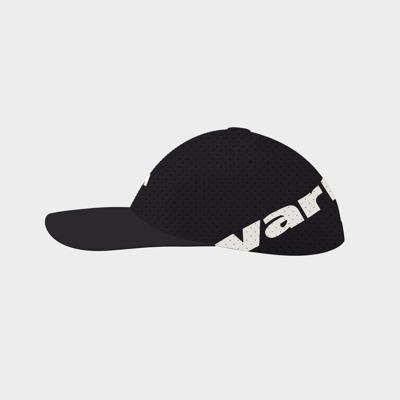 VARLION CORPORATE CAP