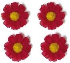 Basil flower 4 magrietjes rood 50188
