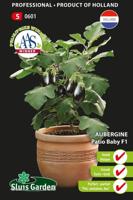 Aubergine Patio Baby F1 zaden - thumbnail