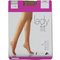 Panty Bruin - thumbnail