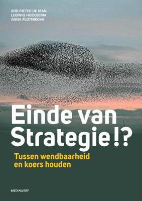Einde van strategie !? - Ard-Pieter de Man, Ludwig Hoeksema, Anna Plotnikova - ebook