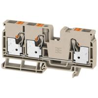 Weidmüller 2490520000 Doorgangsklem 10 mm Spanveer Beige 25 stuk(s) - thumbnail