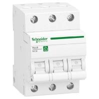 Schneider Electric R9F27316 Zekeringautomaat - thumbnail