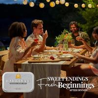 Barkleys Barkleys Classic Mints Aniseed (50g) - thumbnail