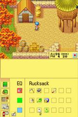 Harvest Moon DS