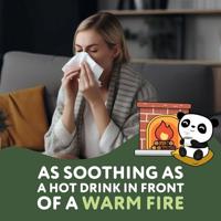 Cheeky Panda Tissues Box - thumbnail