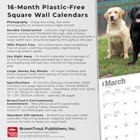 Labrador Retriever Mixed Kalender 2026 - thumbnail