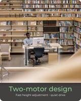 ICY BOX Zit-sta-bureauframe Elektrisch in hoogte verstelbaar Hoogte: 620 tot 1280 mm (b x d) 1700 mm x 300 mm IB-EW205B-T 60866 - thumbnail