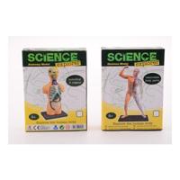 Science Explorer ontdek het lichaam - thumbnail