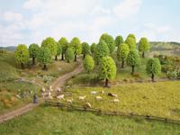 NOCH Hobby 32801 Set bomen Loofboom 35 tot 50 mm 25 stuk(s) - thumbnail