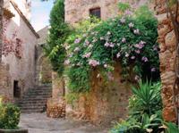 Italiaanse steeg 70x50cm Tuinschilderij Customize-it - Customize it - thumbnail