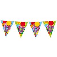 Vlaggenlijn slinger 17 jaar gekleurd - thumbnail