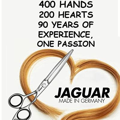 Jaguar Scissors White Line Smart 39 5,5"