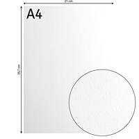 Florence • cardstock papier 216g glad a4 wit 10x - thumbnail