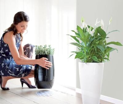 Elho floorprotector rond onderzetter 18 cm transparant - thumbnail